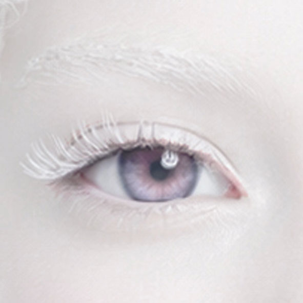 Vision
